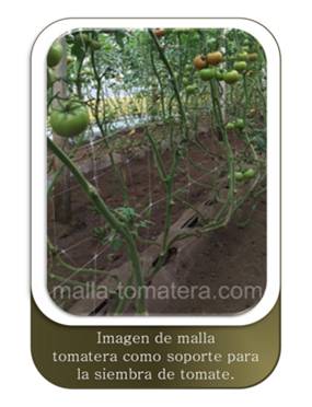 malla tomatera